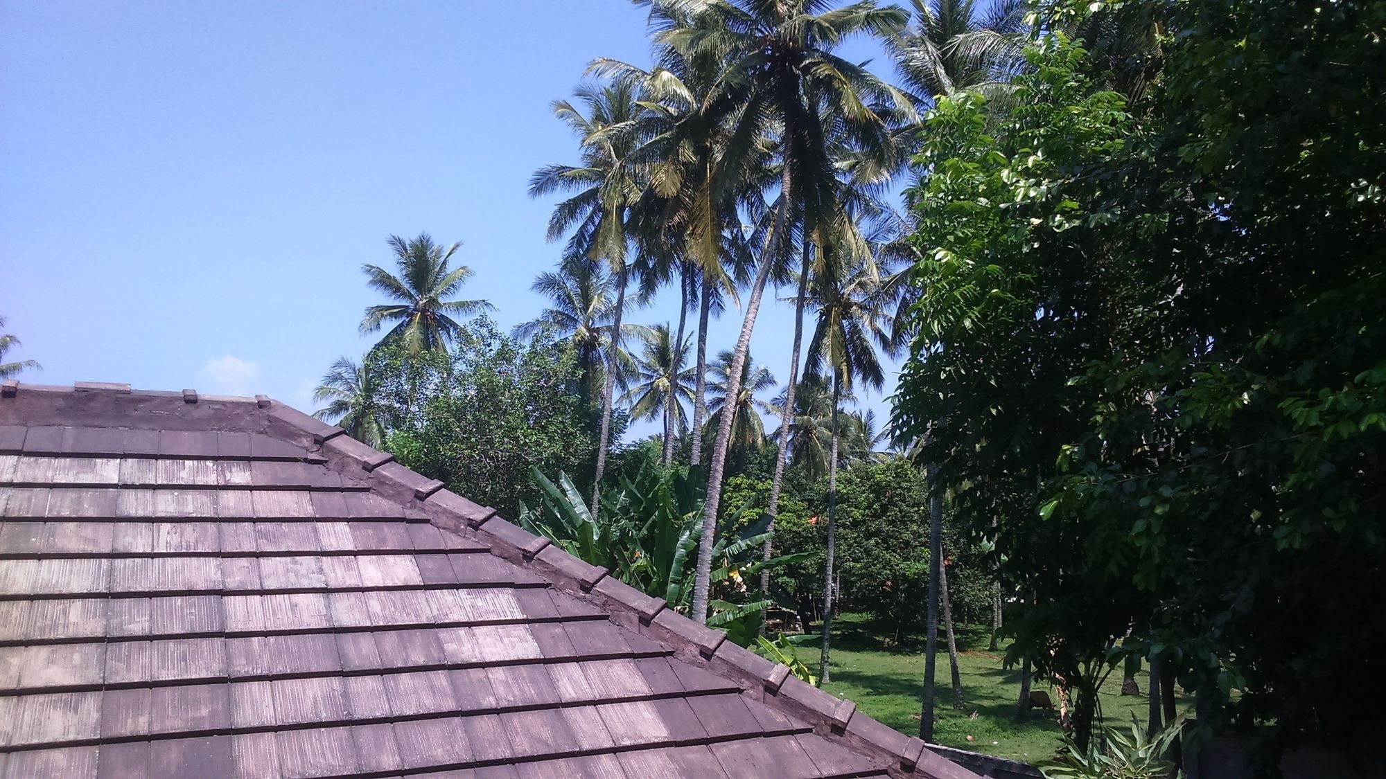 Senggigi Cottages Lombok Eksteriør billede