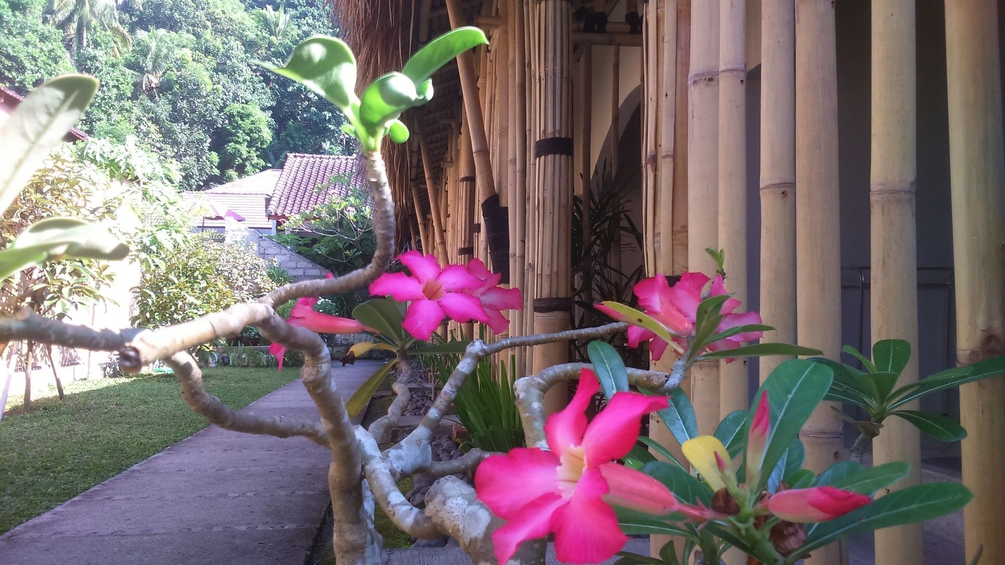 Senggigi Cottages Lombok Eksteriør billede